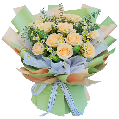 广元11朵香槟玫瑰洋甘菊，爱温暖幸福